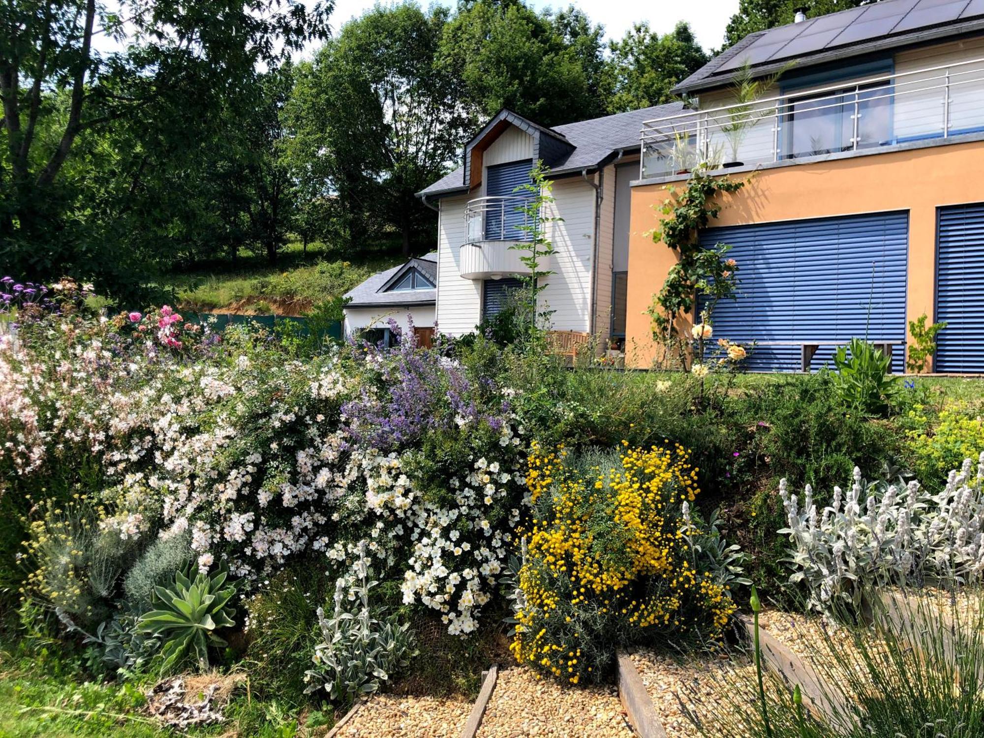Poulou Pyrenees Apartment Gelos ภายนอก รูปภาพ